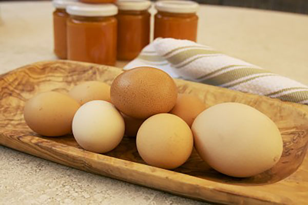 Read more about the article Fresh eggs from the “Orto”