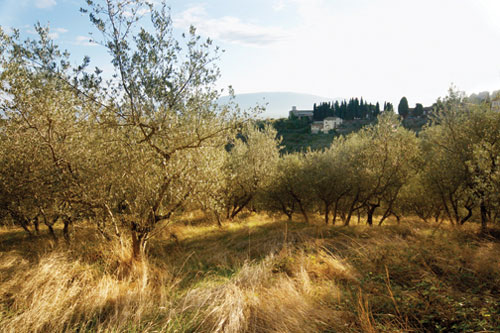 Read more about the article So, where is Umbria?