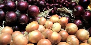Festa-della-Cipolla-Onions